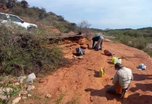 Hallazgo histórico en Córdoba: descubren un resto fósil óseo de «gran relevancia»