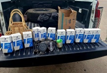 Detienen a un hombre de 32 años por un hecho de robo y violación de domicilio en barrio Poluyan