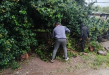 Trabajo municipal tras el temporal en Alta Gracia