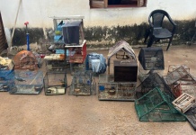 Malagueño: tras un allanamiento secuestraron fauna silvestre