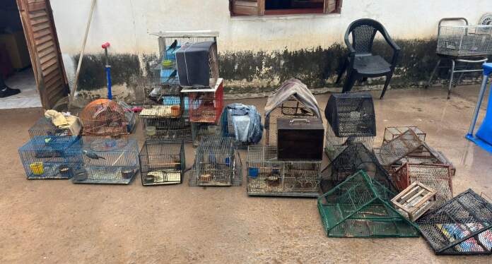 WhatsApp Image 2026-04-14 at 15.55.04